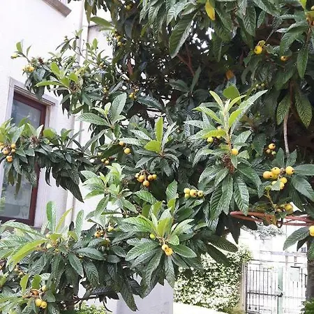 Casa Magnolia Lejlighed Venedigs Lido